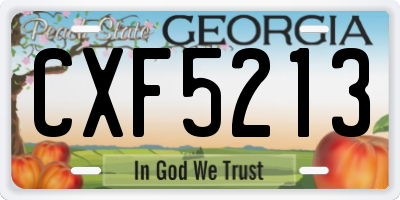 GA license plate CXF5213