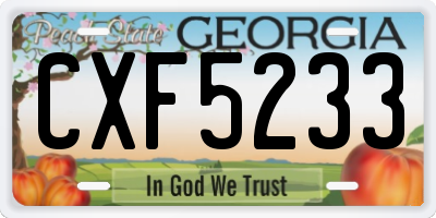 GA license plate CXF5233