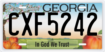 GA license plate CXF5242