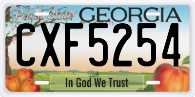 GA license plate CXF5254