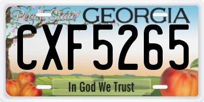 GA license plate CXF5265