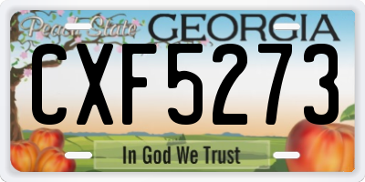 GA license plate CXF5273