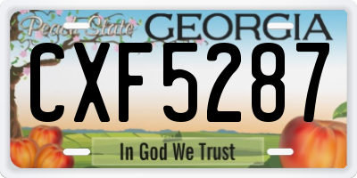 GA license plate CXF5287