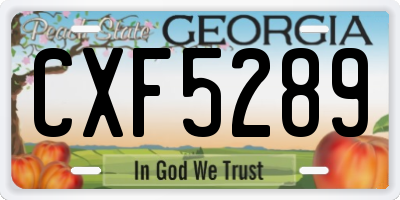 GA license plate CXF5289