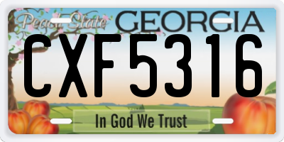 GA license plate CXF5316