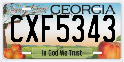 GA license plate CXF5343