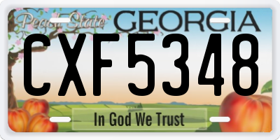 GA license plate CXF5348