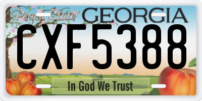 GA license plate CXF5388