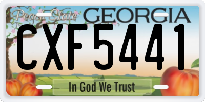 GA license plate CXF5441