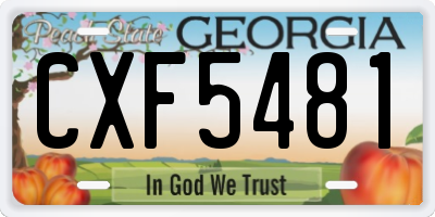 GA license plate CXF5481