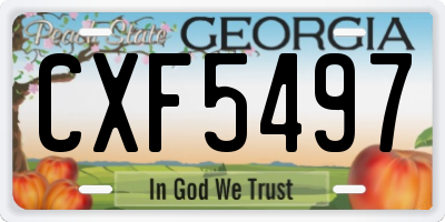 GA license plate CXF5497