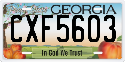 GA license plate CXF5603