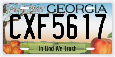GA license plate CXF5617