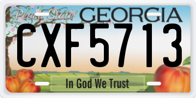 GA license plate CXF5713