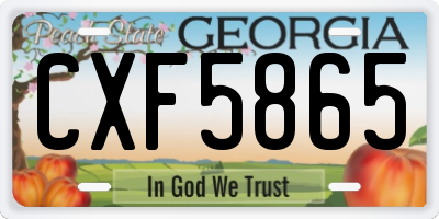 GA license plate CXF5865