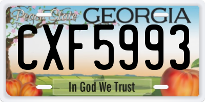 GA license plate CXF5993