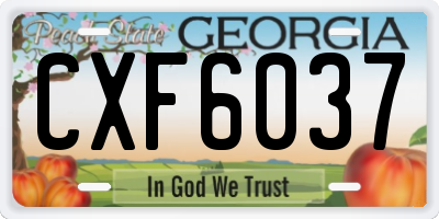 GA license plate CXF6037