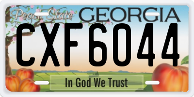 GA license plate CXF6044