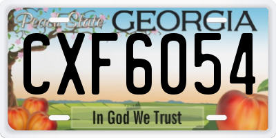 GA license plate CXF6054