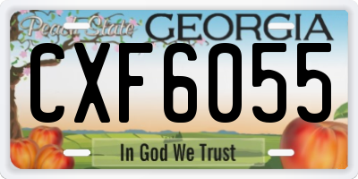 GA license plate CXF6055