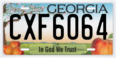 GA license plate CXF6064