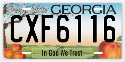 GA license plate CXF6116