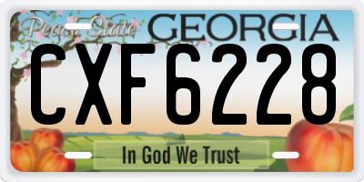 GA license plate CXF6228