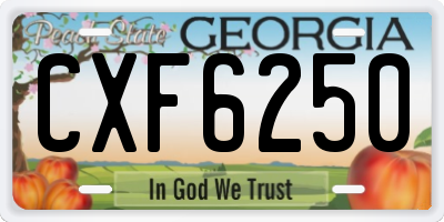 GA license plate CXF6250