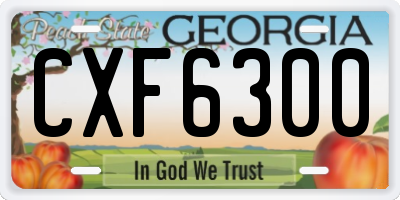 GA license plate CXF6300