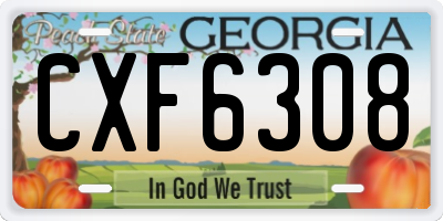 GA license plate CXF6308