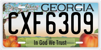 GA license plate CXF6309