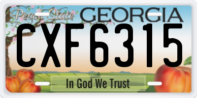 GA license plate CXF6315