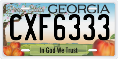GA license plate CXF6333