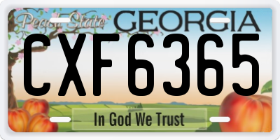 GA license plate CXF6365