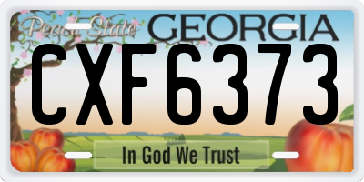 GA license plate CXF6373