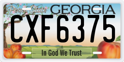 GA license plate CXF6375