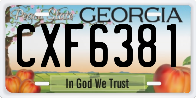 GA license plate CXF6381