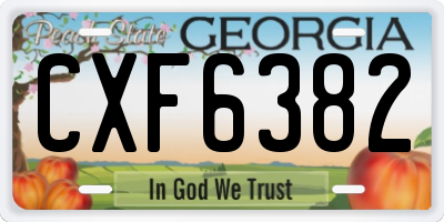 GA license plate CXF6382