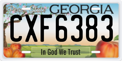 GA license plate CXF6383
