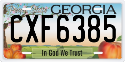 GA license plate CXF6385