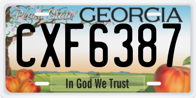 GA license plate CXF6387