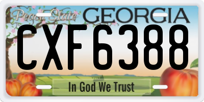 GA license plate CXF6388