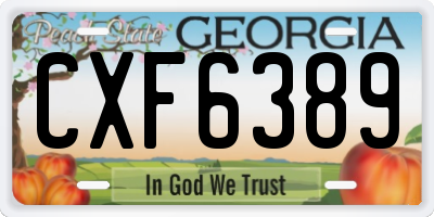 GA license plate CXF6389