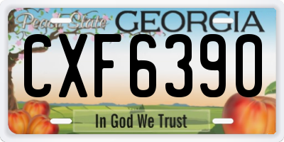 GA license plate CXF6390