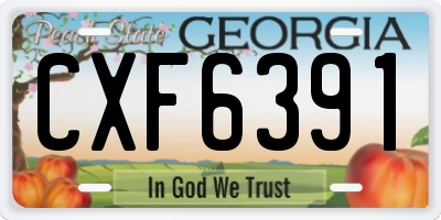 GA license plate CXF6391