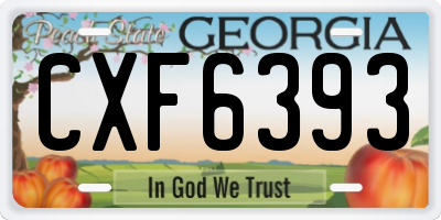 GA license plate CXF6393