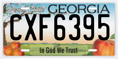GA license plate CXF6395