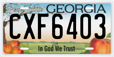 GA license plate CXF6403