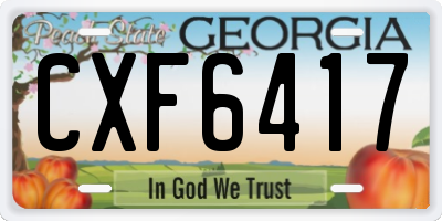 GA license plate CXF6417