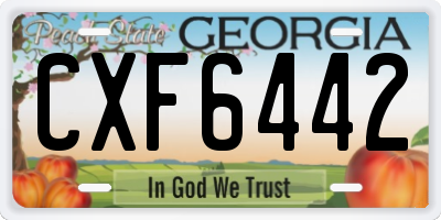 GA license plate CXF6442